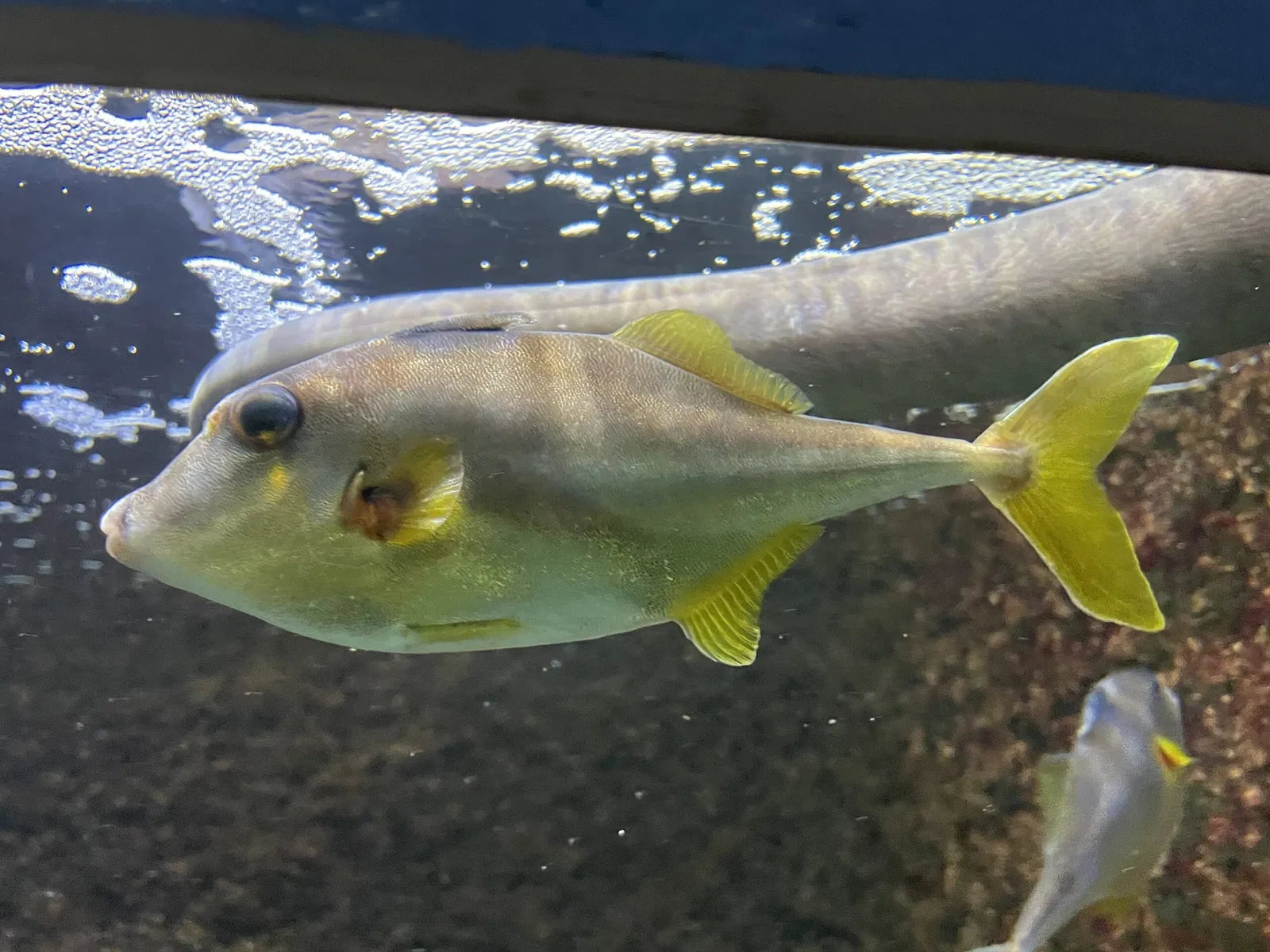 Wakayama Prefectural Museum of Natural History