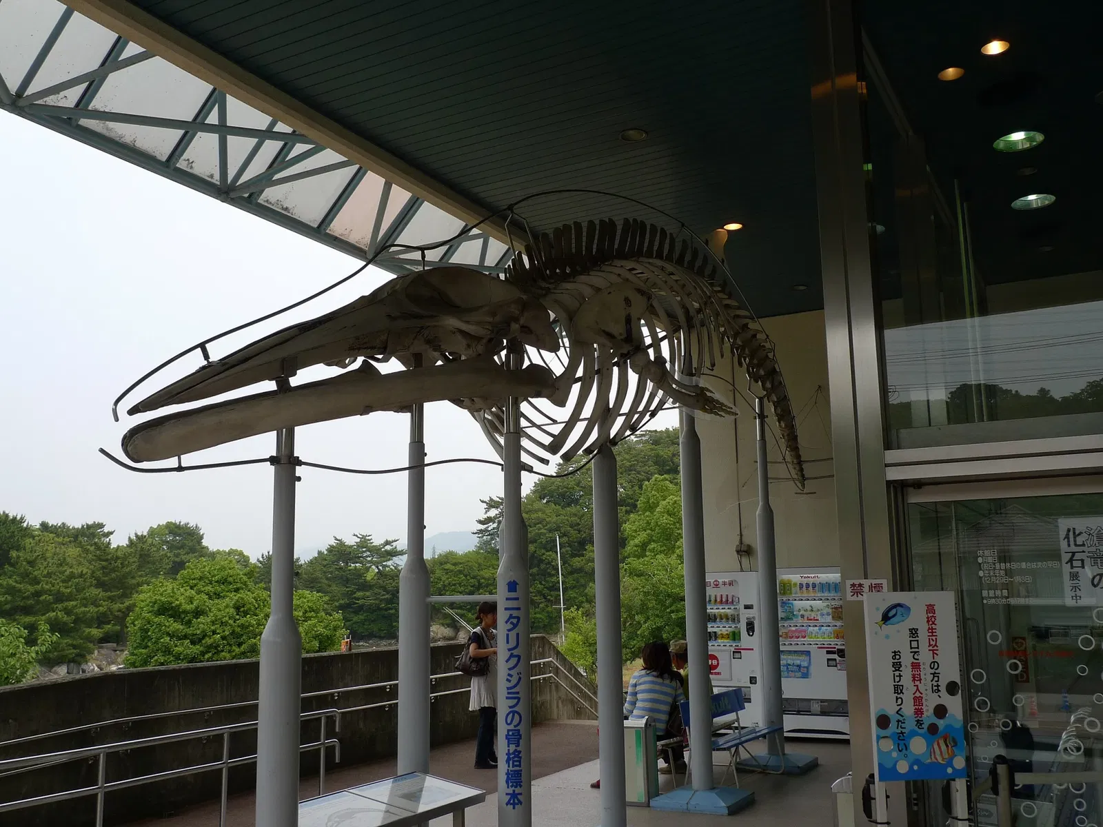 Wakayama Prefectural Museum of Natural History