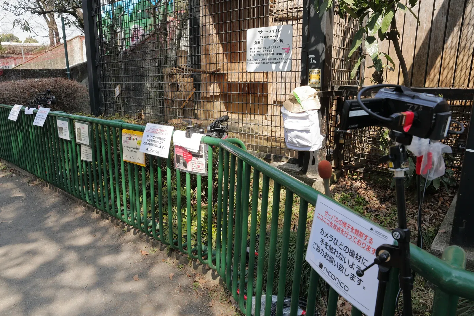 Hinotonton Zoo (Hamura Zoological Park)