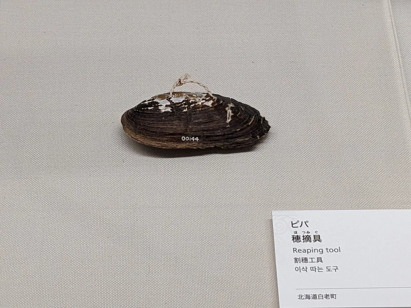 National Ainu Museum