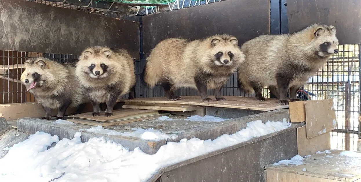 Obihiro Zoo