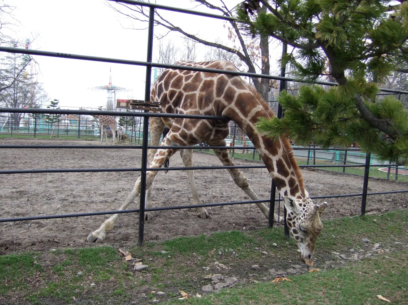 Obihiro Zoo