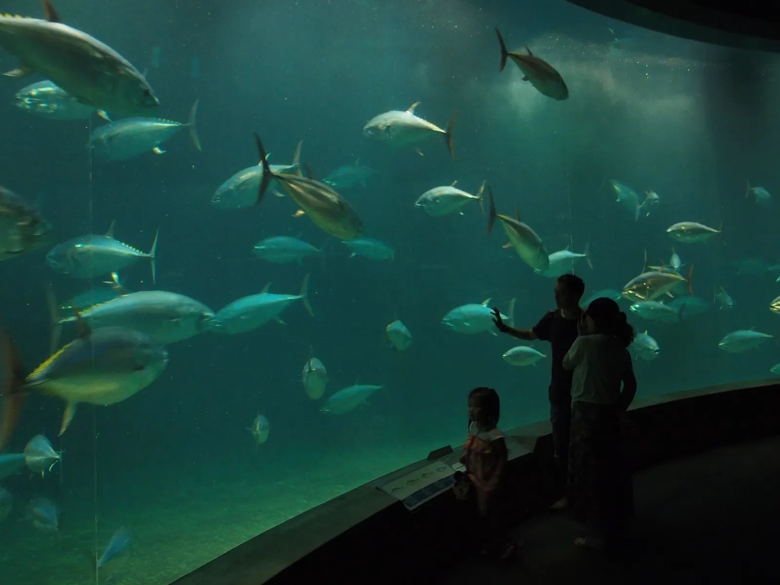 Tokyo Sea Life Park