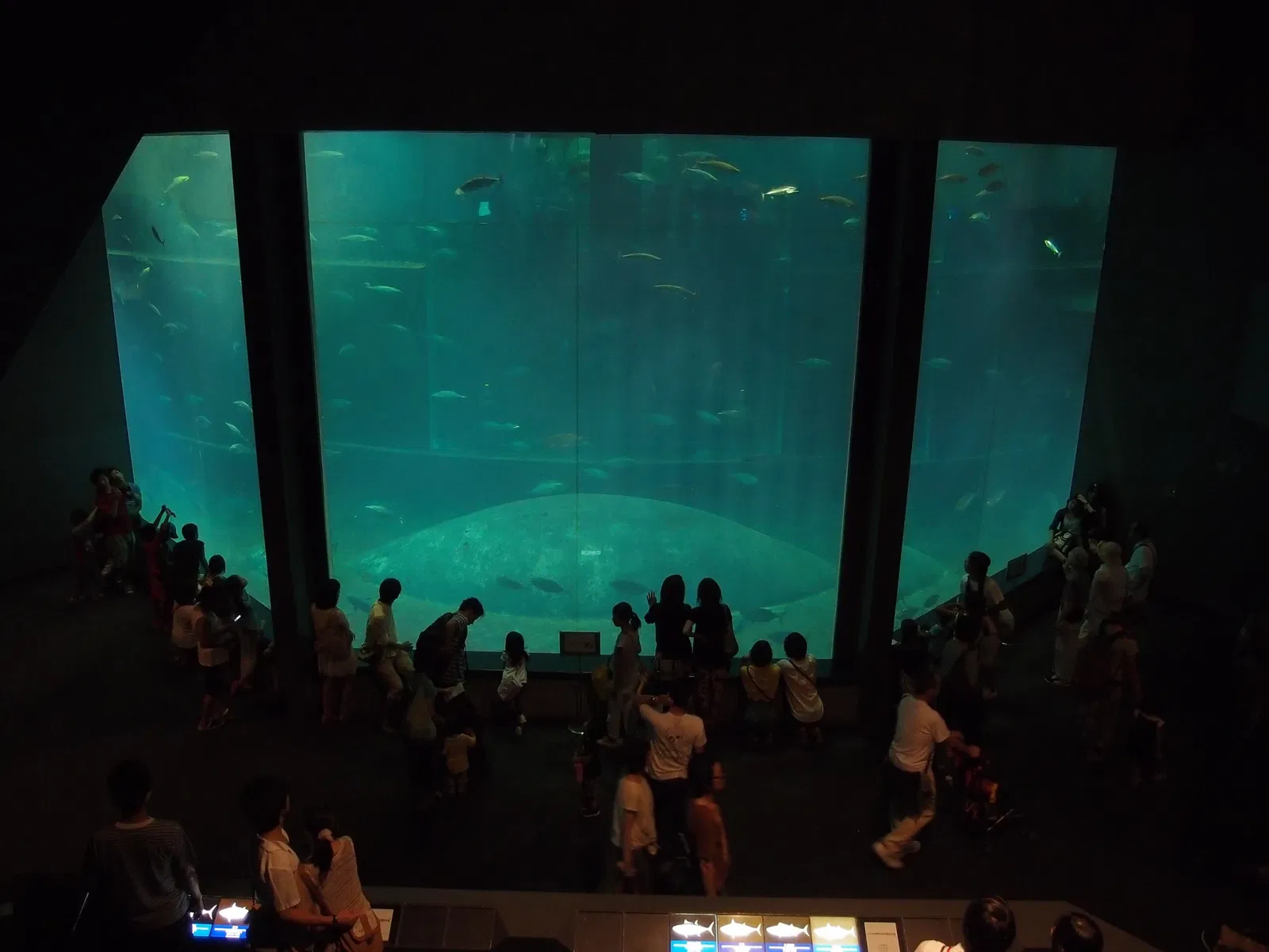 Tokyo Sea Life Park