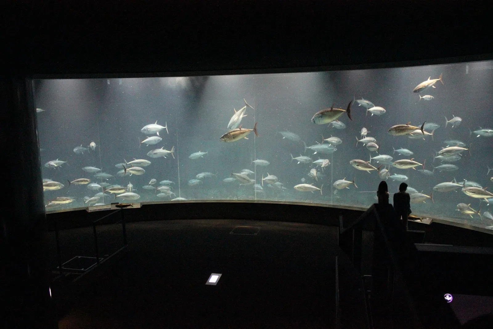 Tokyo Sea Life Park