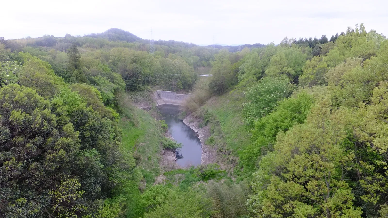 Tottori Hanakairo Flower Park