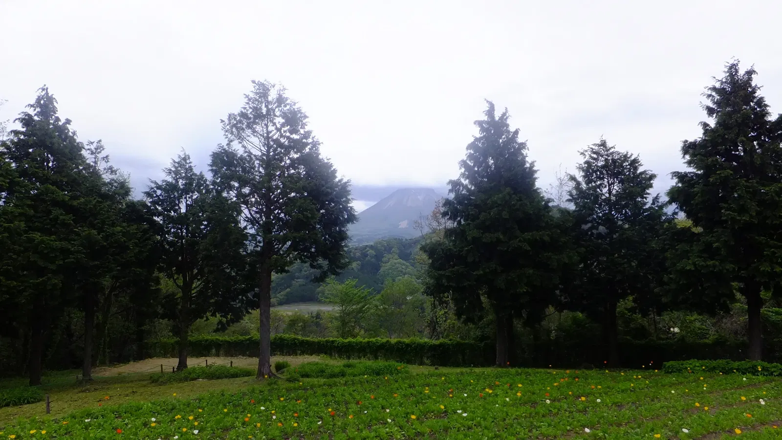 Tottori Hanakairo Flower Park
