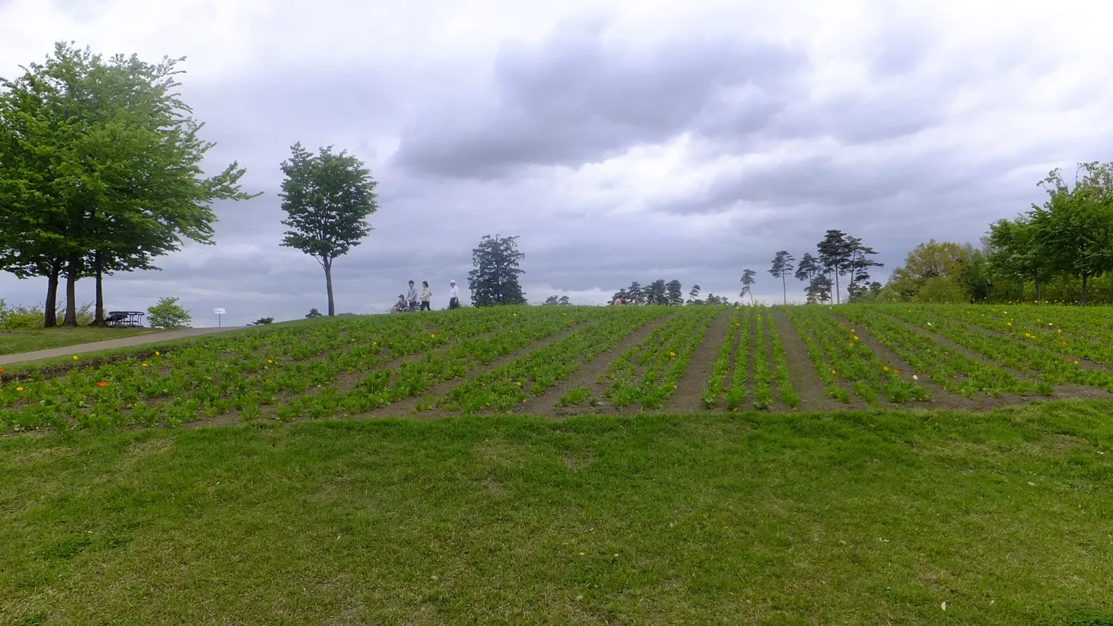 Tottori Hanakairo Flower Park
