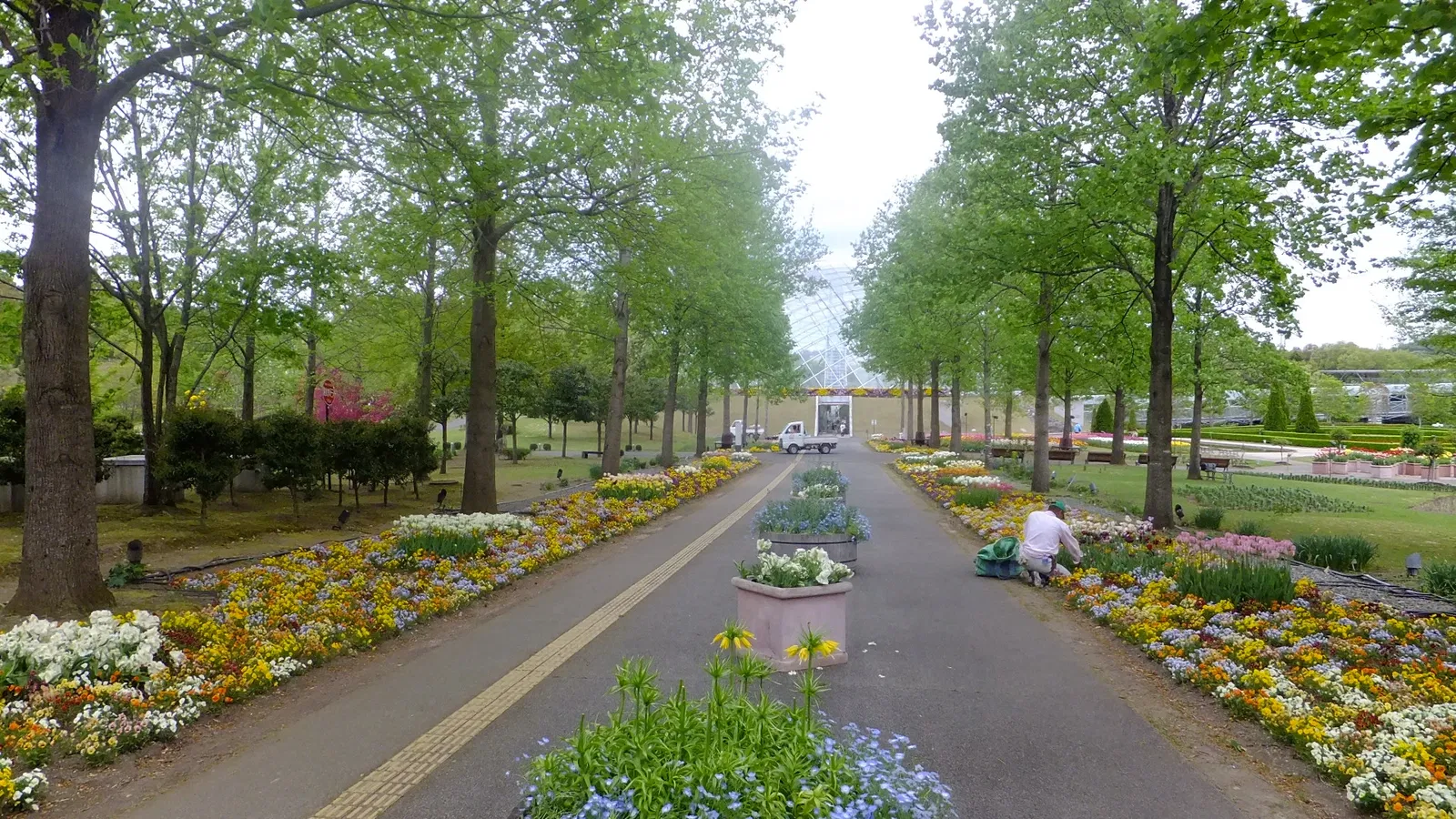 Tottori Hanakairo Flower Park