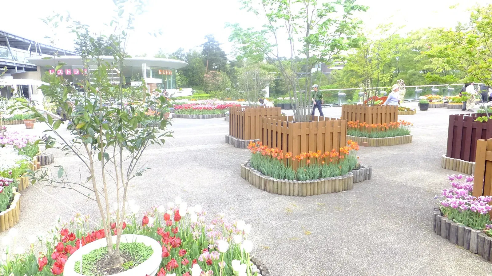 Tottori Hanakairo Flower Park