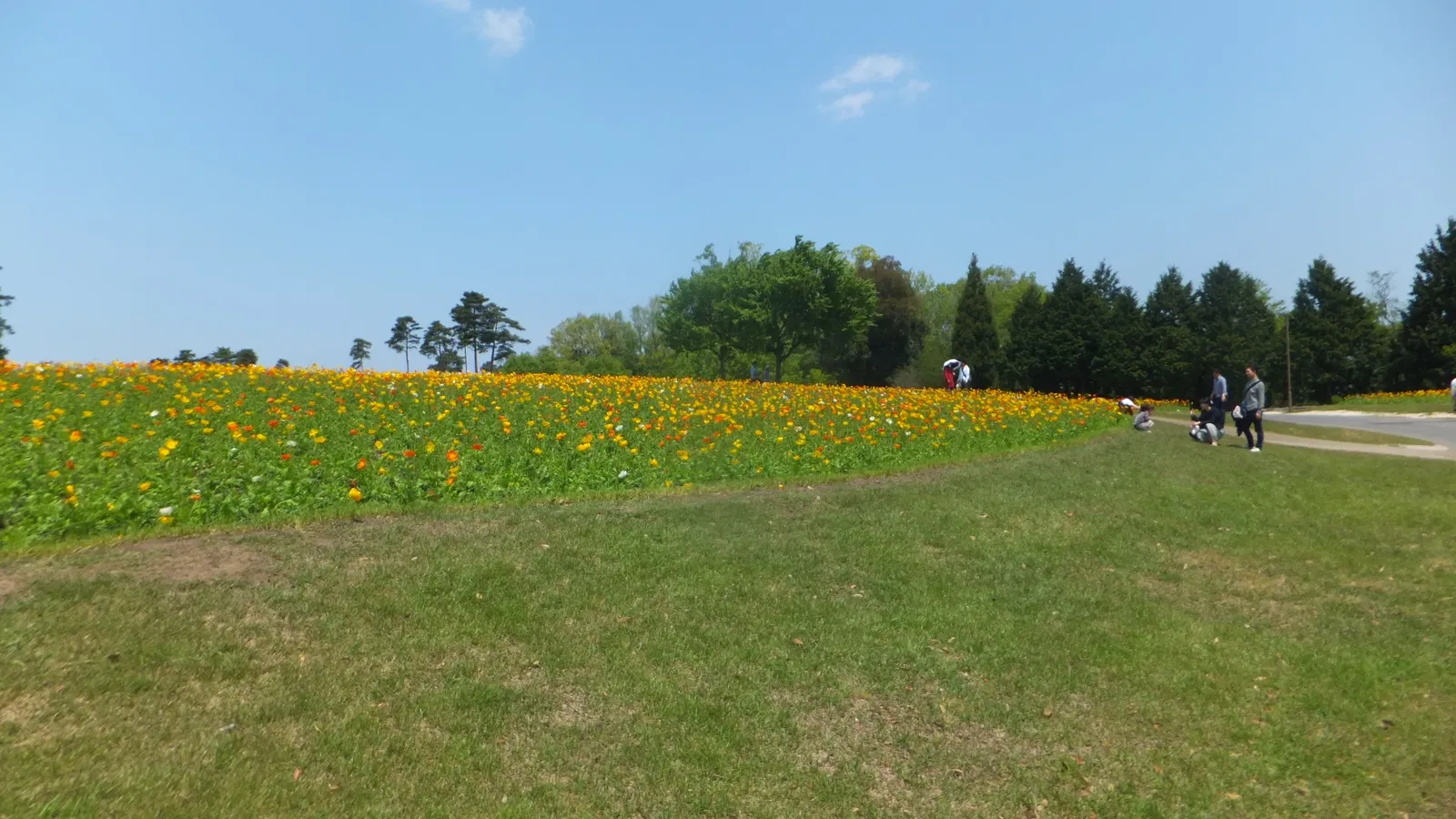Tottori Hanakairo Flower Park