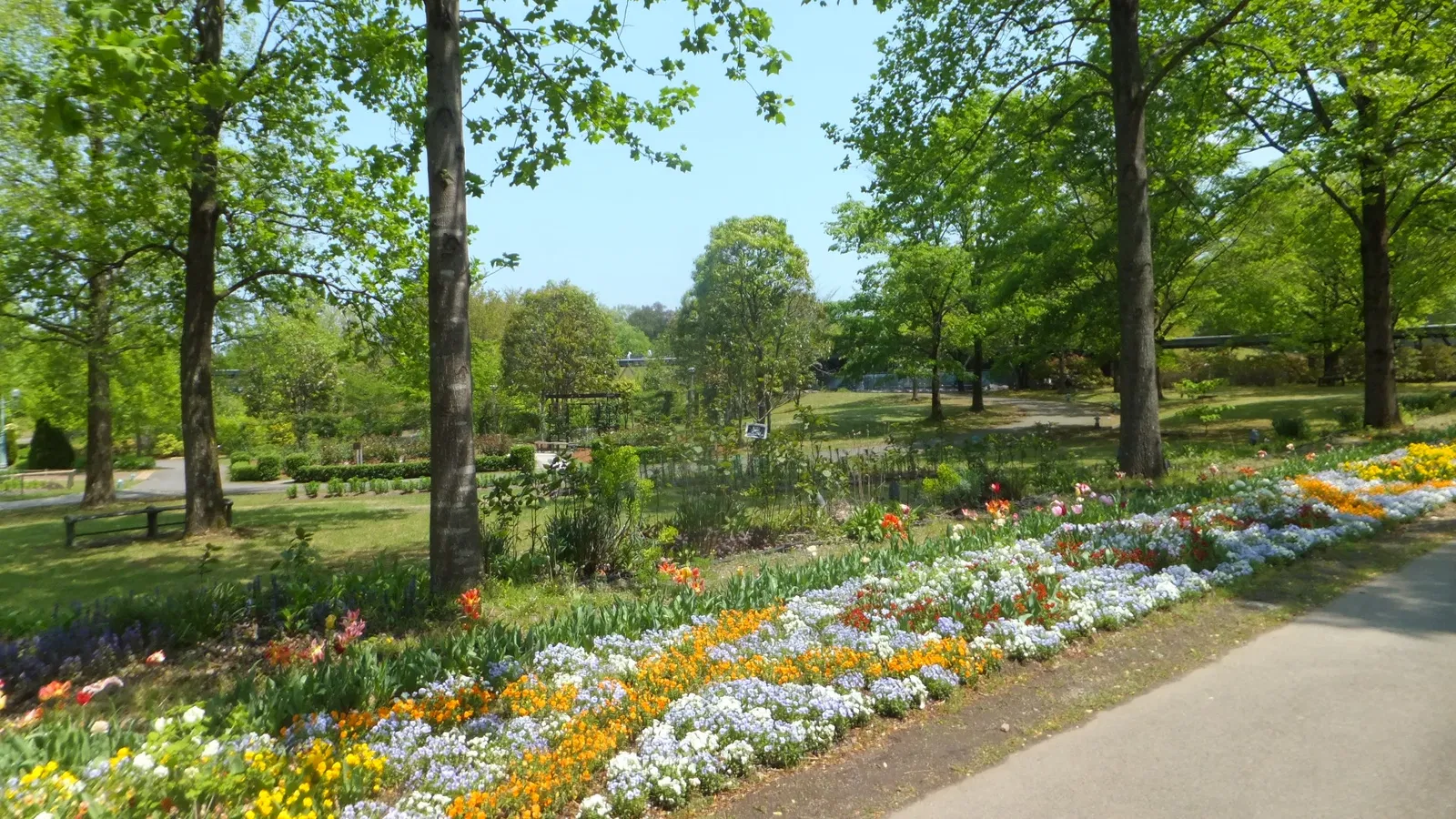 Tottori Hanakairo Flower Park