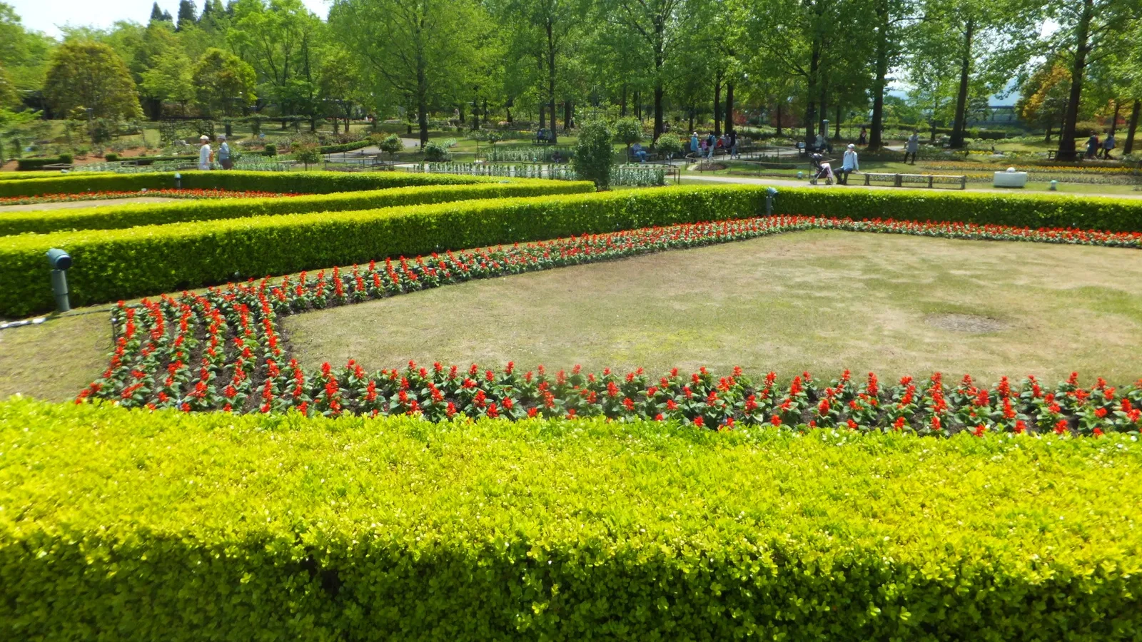 Tottori Hanakairo Flower Park