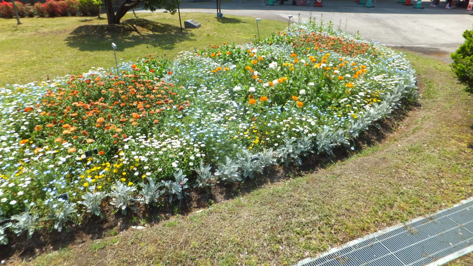 Tottori Hanakairo Flower Park