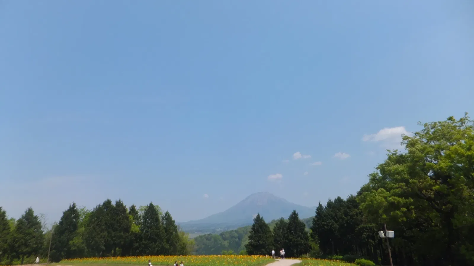 Tottori Hanakairo Flower Park