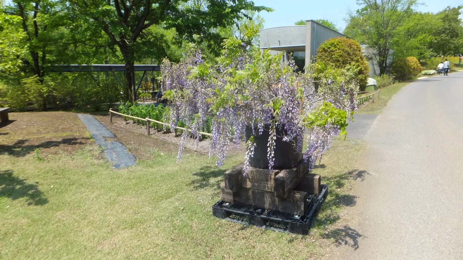 Tottori Hanakairo Flower Park