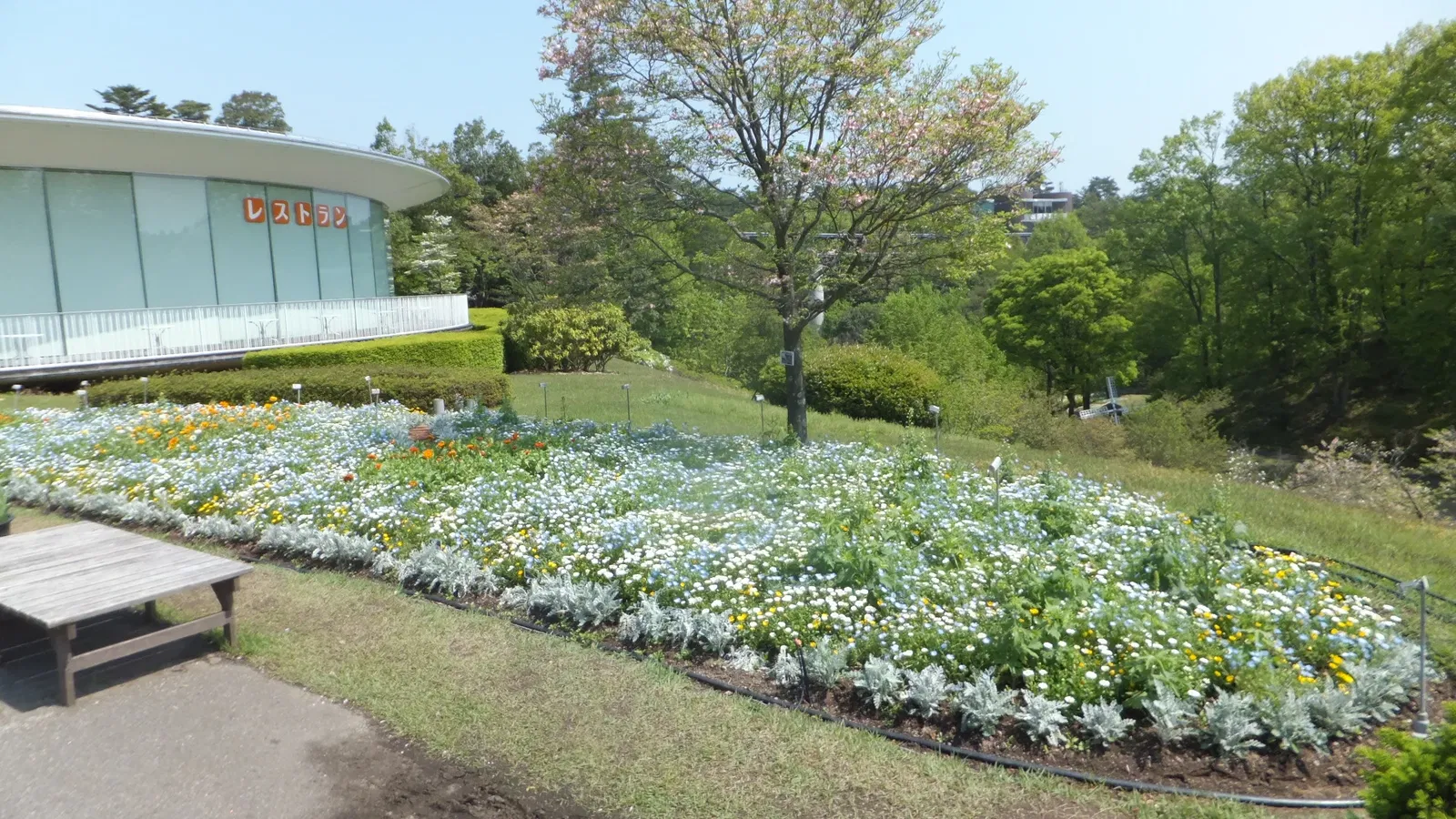 Tottori Hanakairo Flower Park