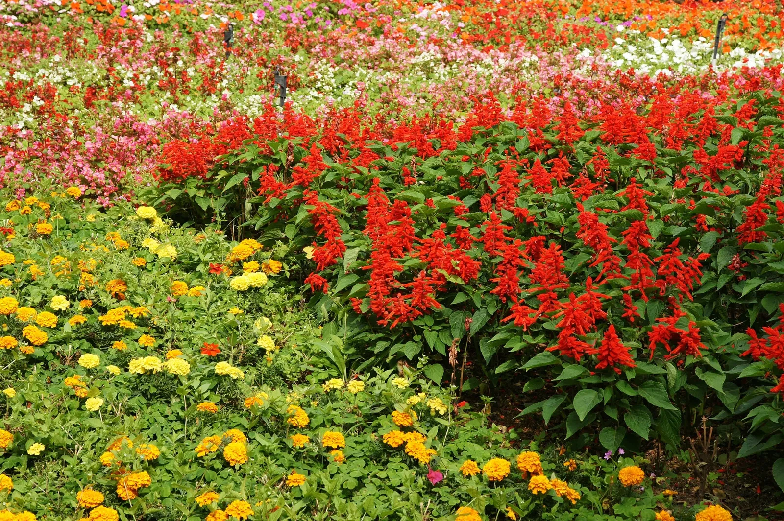 Himeyuri Peace Museum