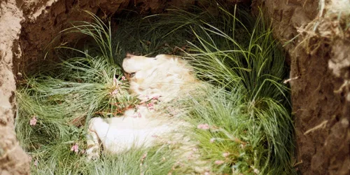 Ondertussen: Noah Agemo, Amanda Gylling, Andy Allen-Olivar, & Ailin Mirlashari