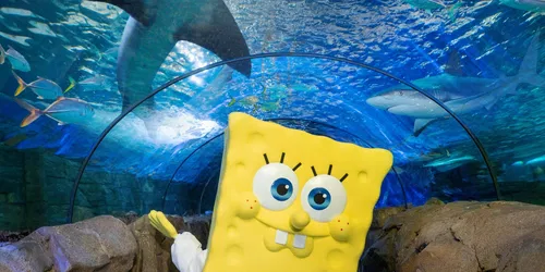 Underworld Adventure with SpongeBob
