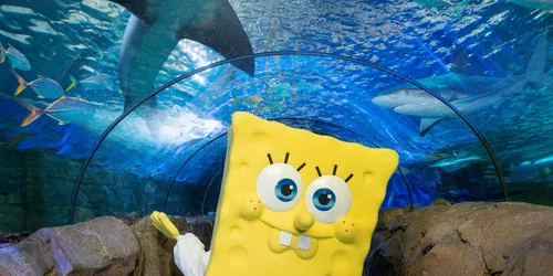 Underworld Adventure with SpongeBob