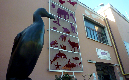 Museo Civico di Zoologia