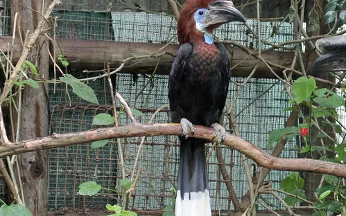 World of Birds Wildlife Sanctuary & Monkey Park