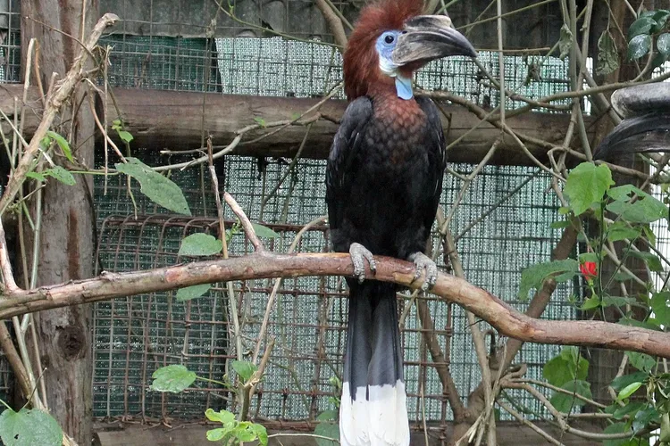 World of Birds Wildlife Sanctuary & Monkey Park