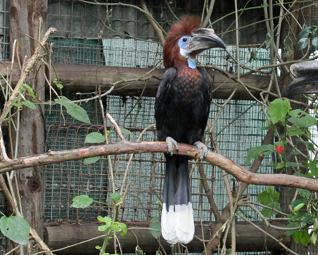 World of Birds Wildlife Sanctuary & Monkey Park