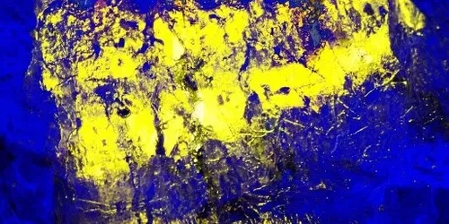 Fascinated by the medium of light - Niko van der Klugt