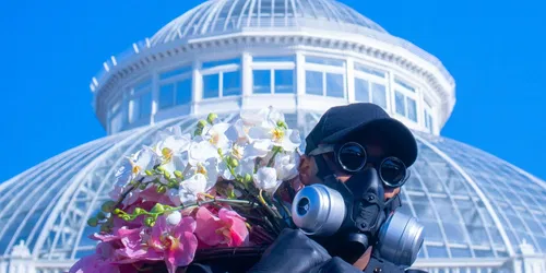 Lo spettacolo delle orchidee: La giungla di cemento di Mr. Flower Fantastic