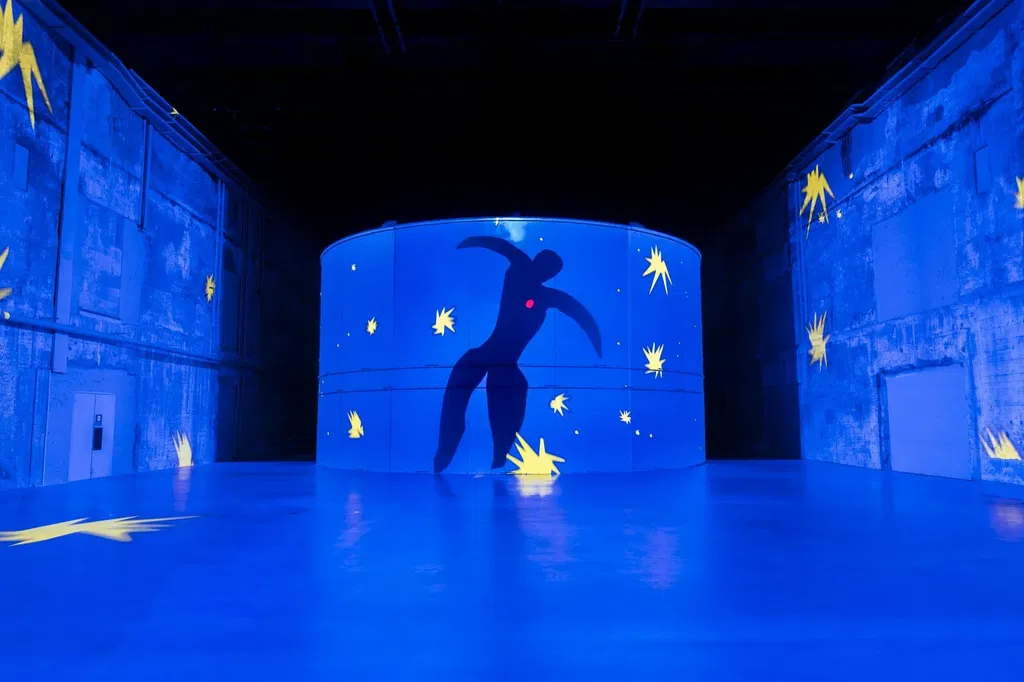 ``Matisse - La symphonie des couleurs``