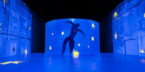 ``Matisse - La symphonie des couleurs``