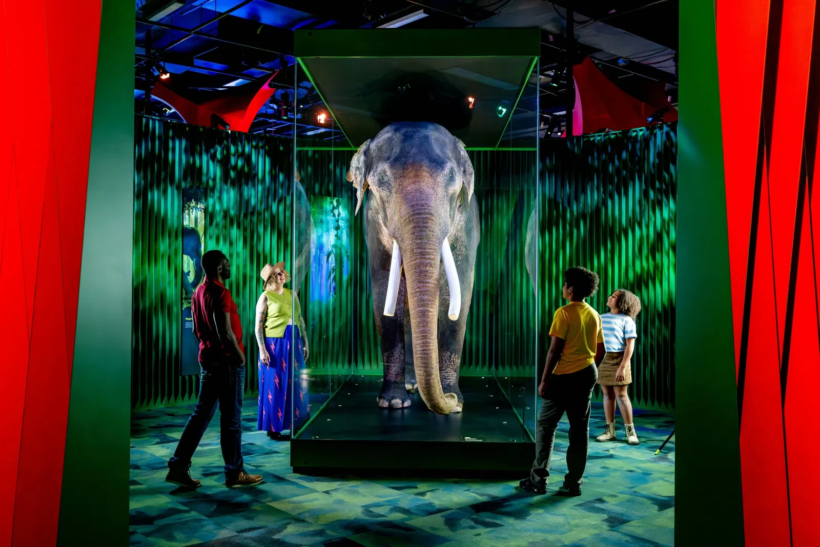 Notre merveilleuse planète