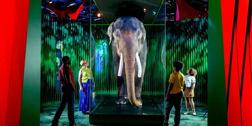 Notre merveilleuse planète