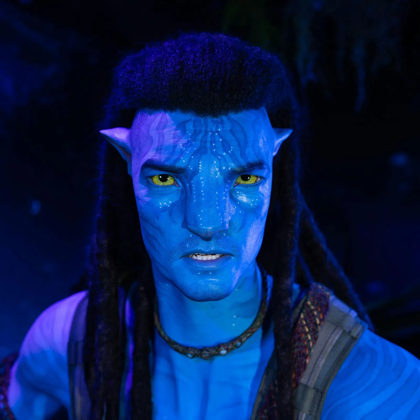 Avatar: Jake Sully