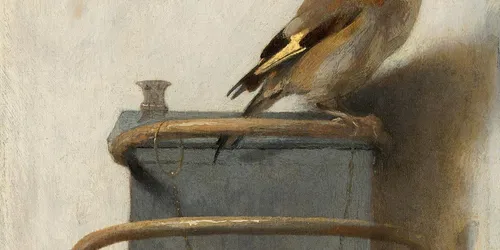 Vögel: Kuratiert von Der Stieglitz & Simon Schama