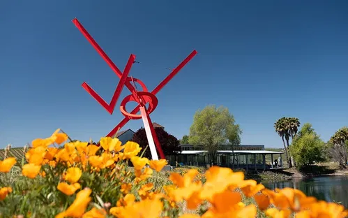 di Rosa Center for Contemporary Art