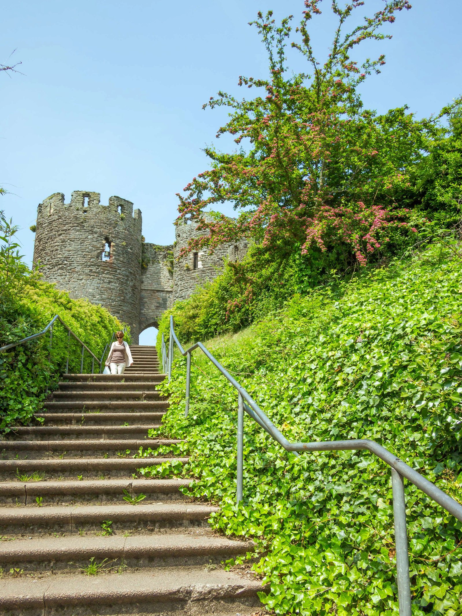 Conwy Castle