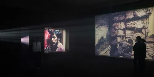 Sueño de perro: Instalación en celuloide de Alejandro G. Iñárritu