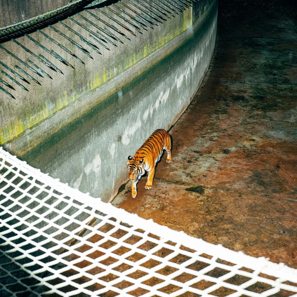Nikita Terjoschin: Lebenslänglich verurteilt