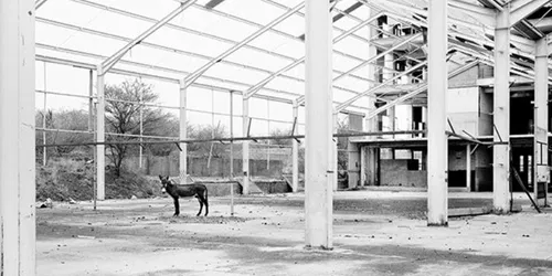 Jo Ractliffe: Fehl am Platz