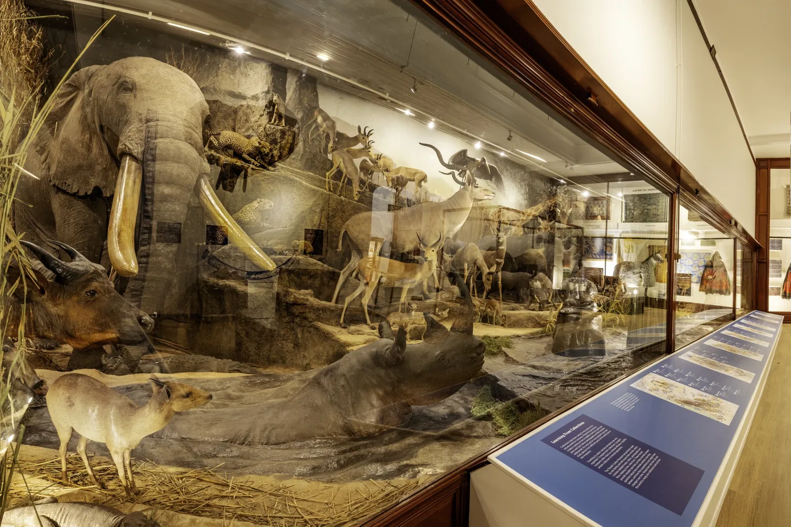 Quex House and Gardens, home of The Powell-Cotton Museum