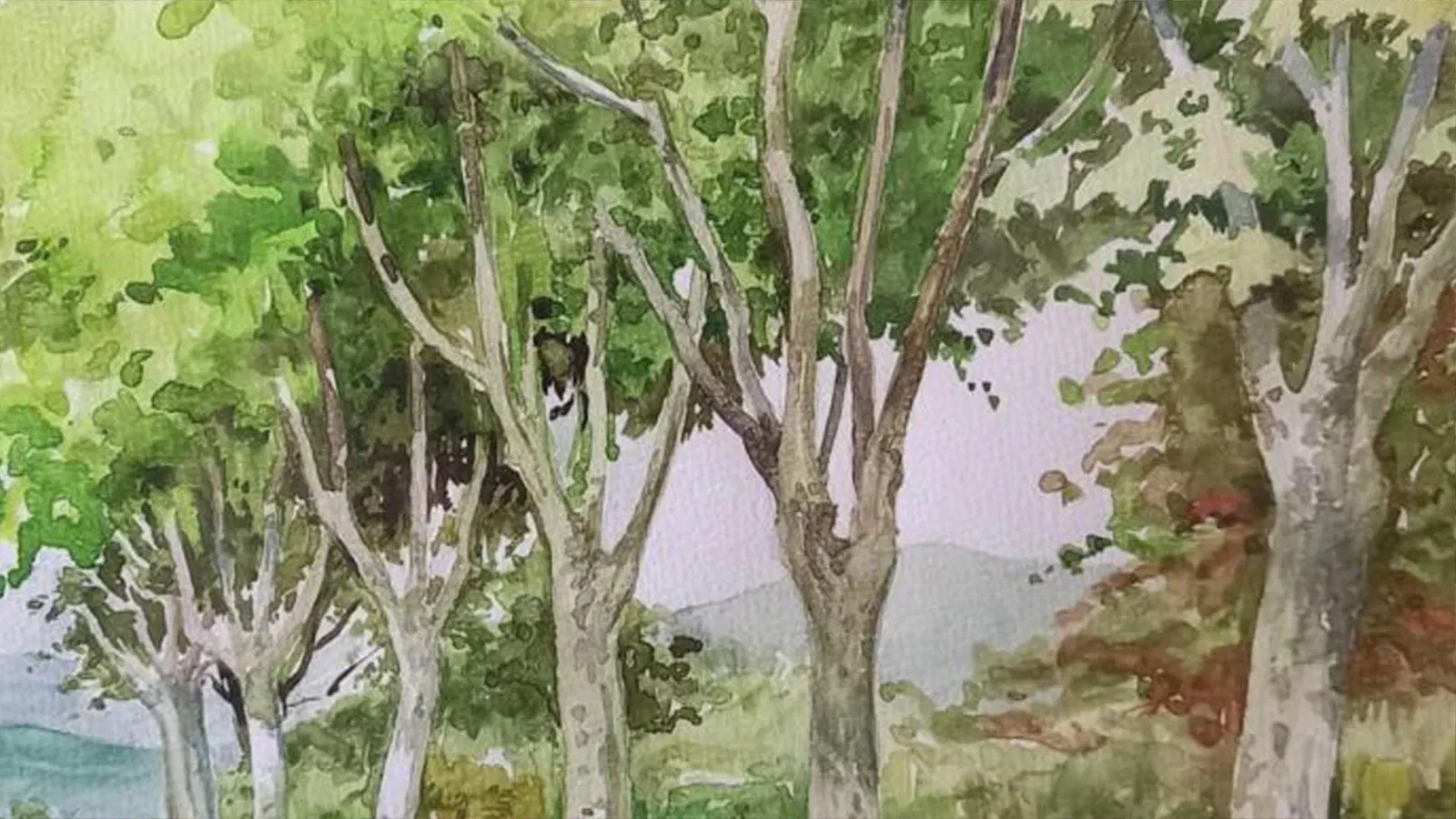 Meester Straaijer & Zn: Watercolors and gouaches