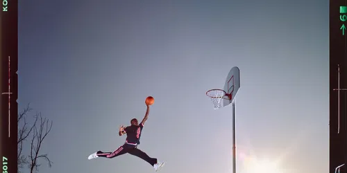 Co Rentmeester - Witnessing Life