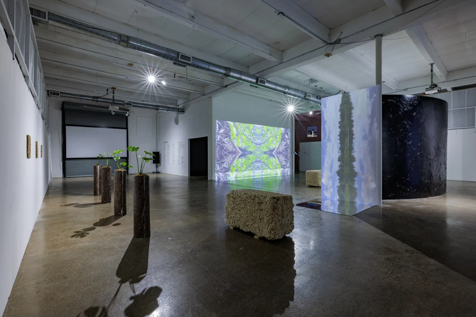 Locust Projects (Miami) - Bezoekersinformatie & Recensies