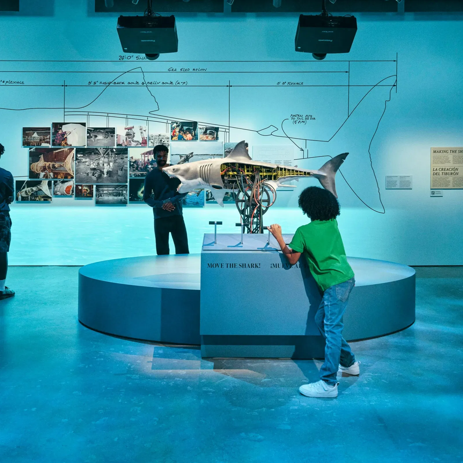 Lo Squalo: la mostra