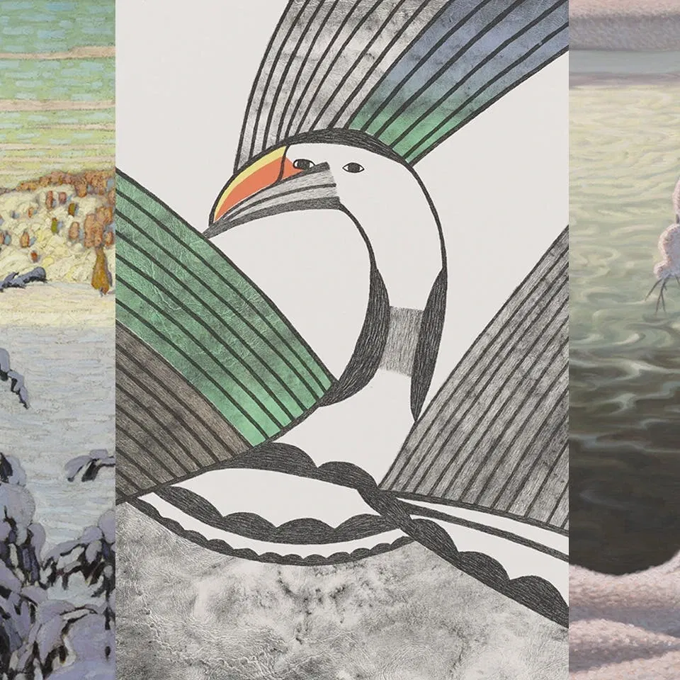 Wintertelling: De kou omarmen