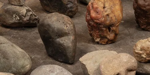 Sylvia Safdie : Terra