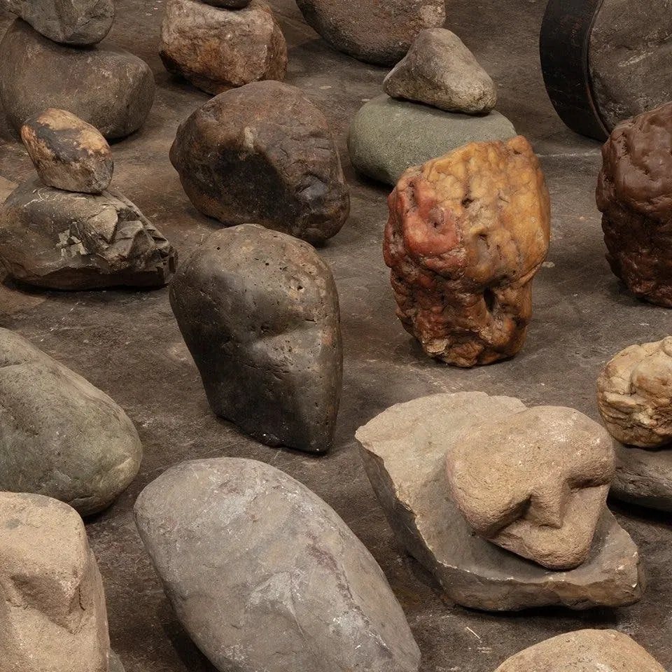 Sylvia Safdie: Terra